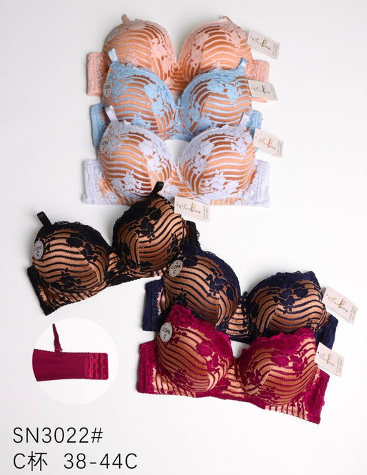 Women's Padded Bras – Pack of 2